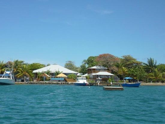 Dixon Cove Wikkid Resort מראה חיצוני תמונה