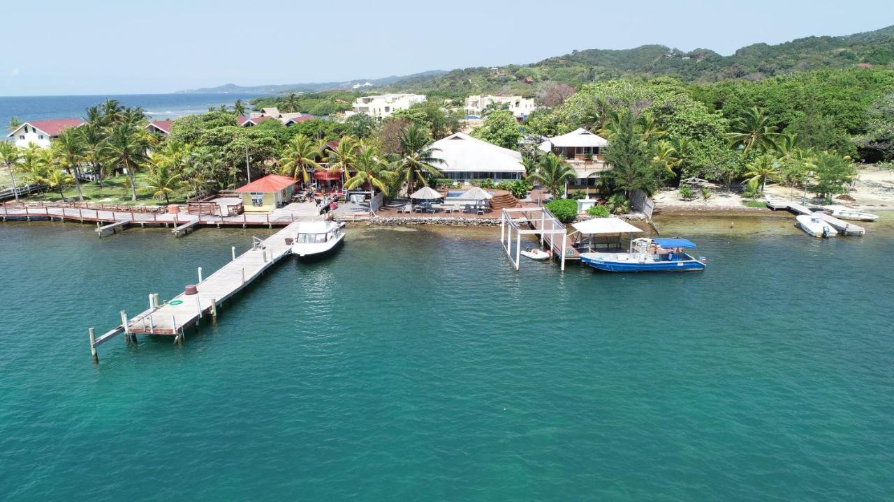 Dixon Cove Wikkid Resort מראה חיצוני תמונה